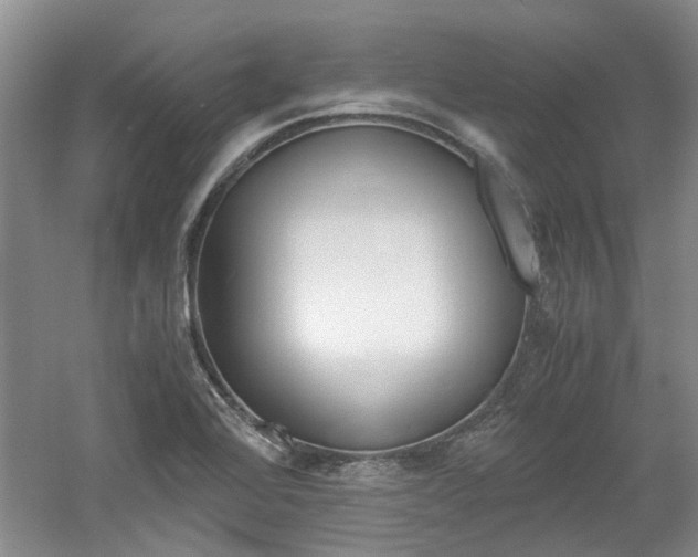 X0000061141368200511180955