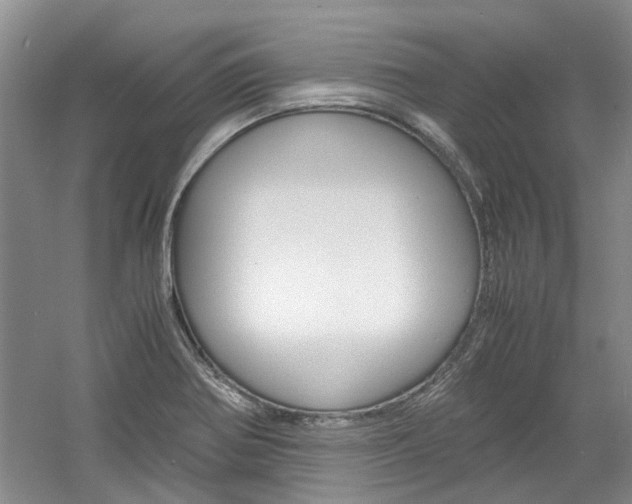 X0000061141370200511180955