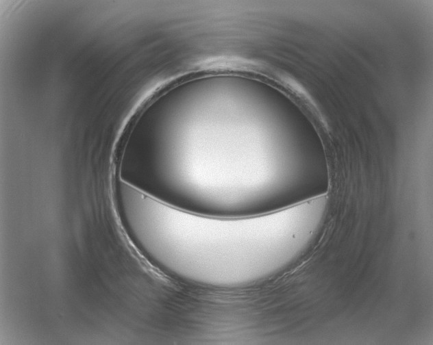 X0000061141376200511180955