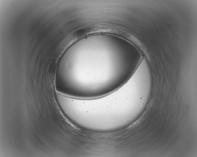 X0000061141377200511180955