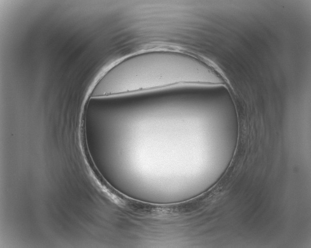 X0000061141379200511180955