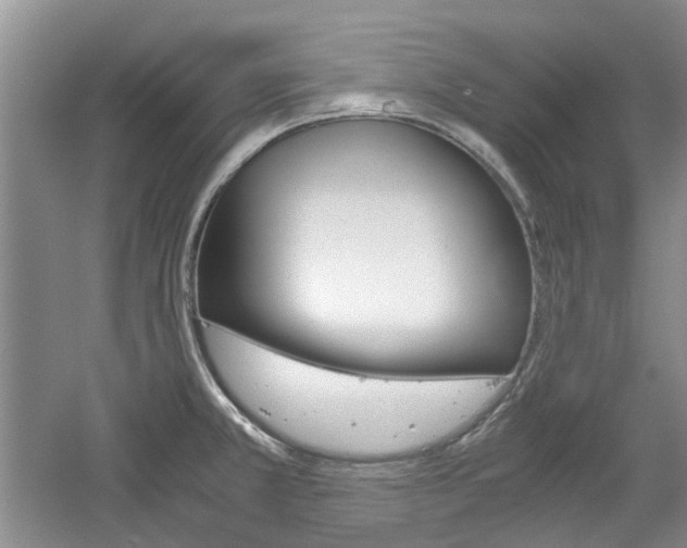X0000061141381200511180955