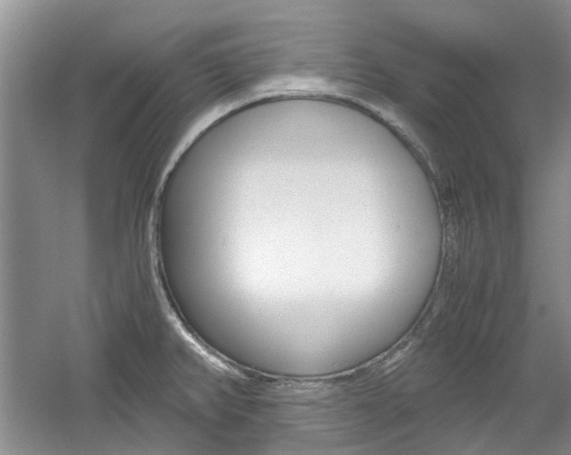 X0000061141382200511180955