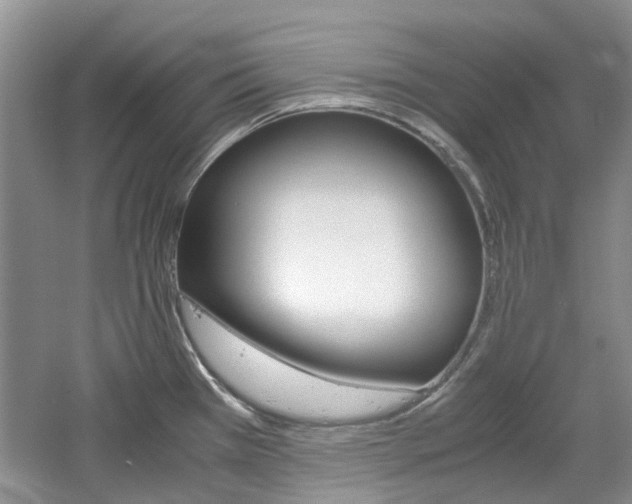 X0000061141385200511180955