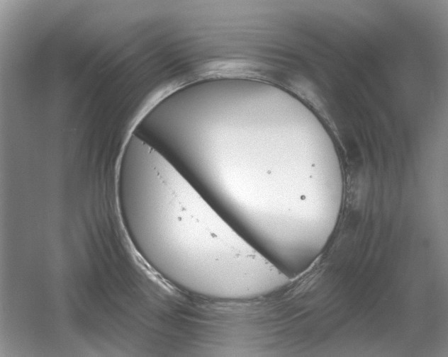 X0000061141386200511180955