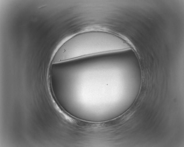 X0000061141387200511180955