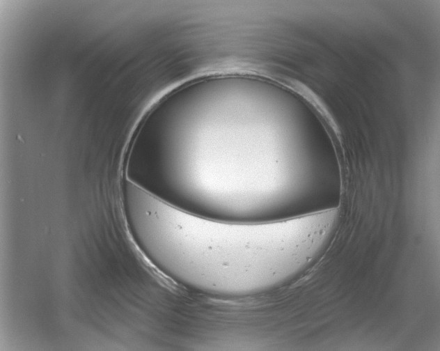 X0000061141388200511180955