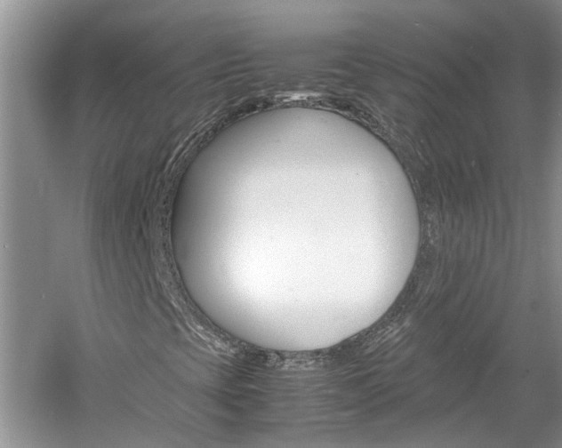 X0000061141393200511180954