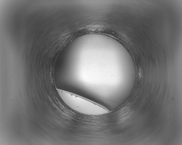 X0000061141396200511180954
