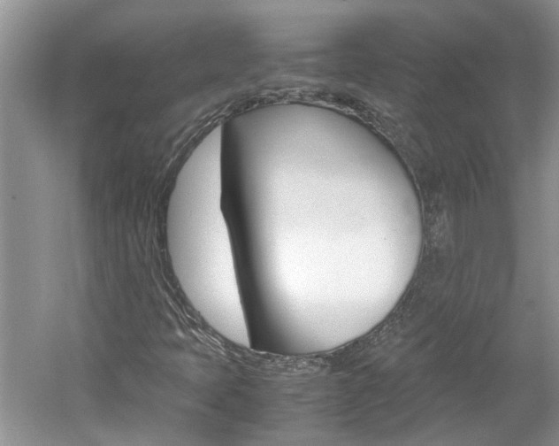 X0000061141397200511180954