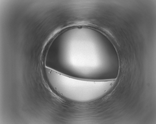 X0000061141414200511180954