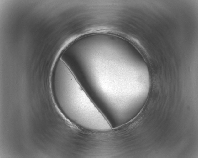 X0000061141424200511180954