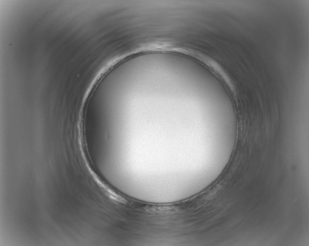 X0000061141432200511180954