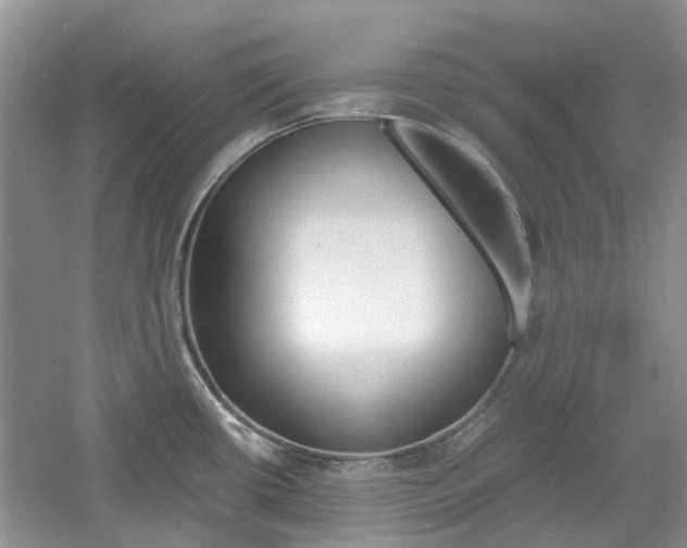 X0000061141434200511180954