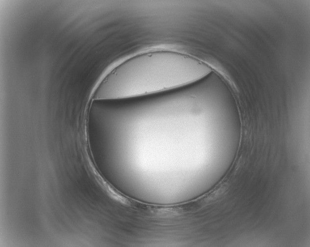 X0000061141436200511180954