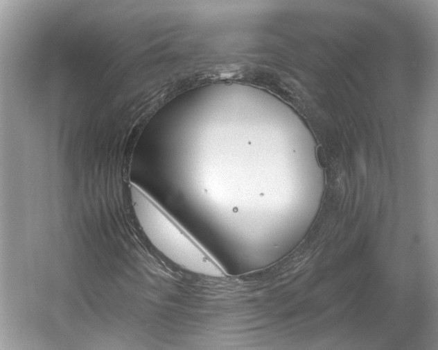 X0000061141442200511180954