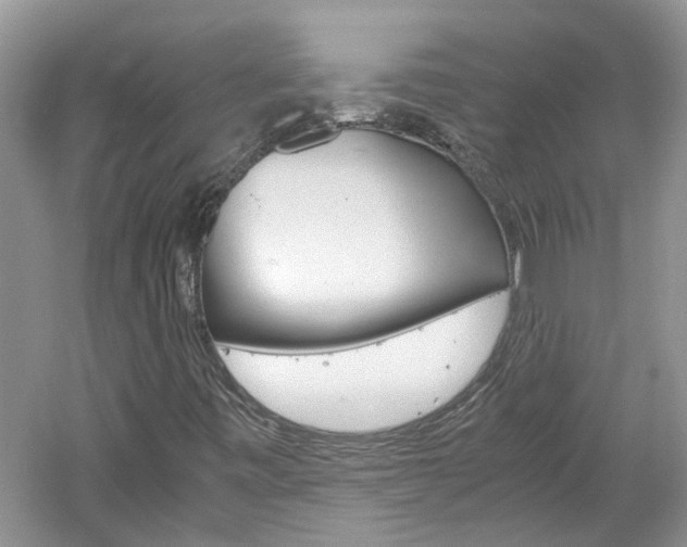 X0000061141443200511180954