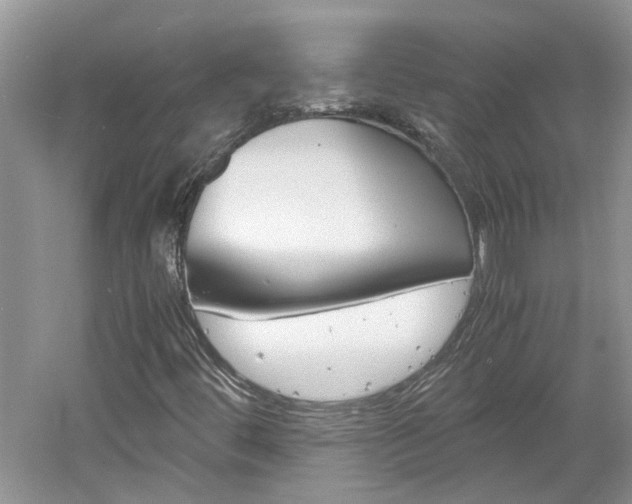 X0000061141444200511180954
