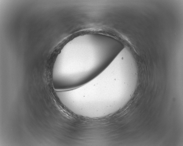 X0000061141448200511180954
