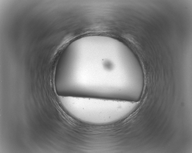 X0000061141451200511180953