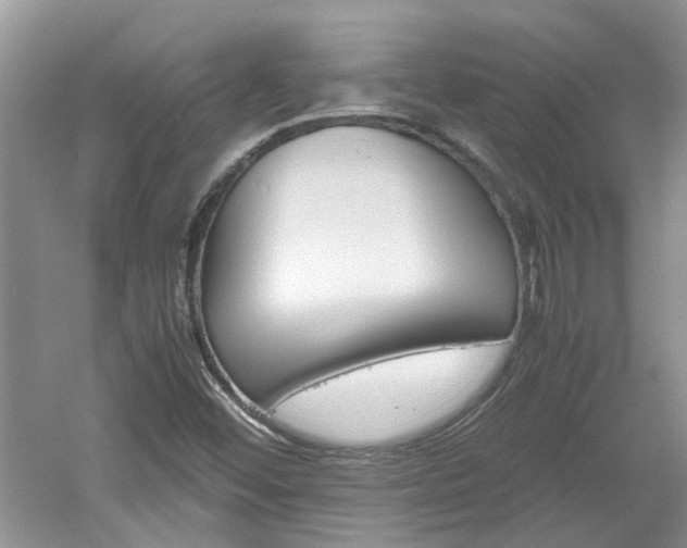 X0000061141452200511180953