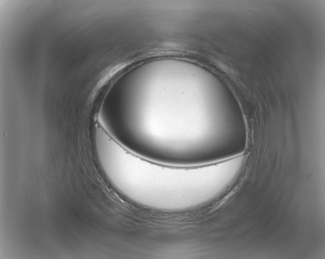 X0000061141453200511180953