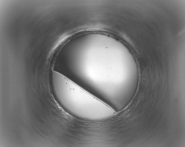 X0000061141456200511180953