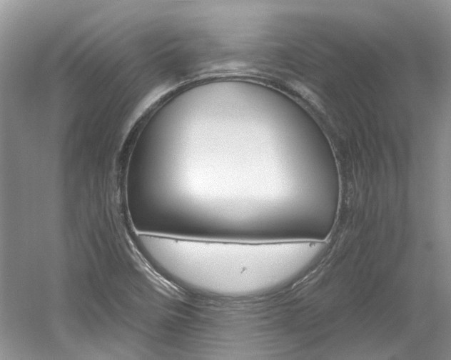 X0000061141458200511180953