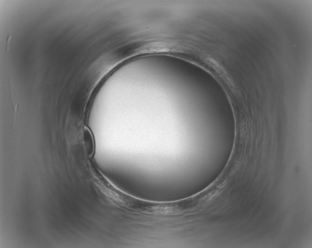 X0000061141465200511180953
