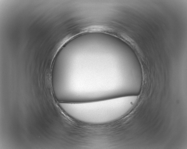 X0000061141473200511180953