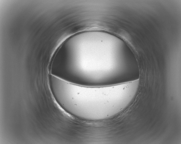 X0000061141476200511180953