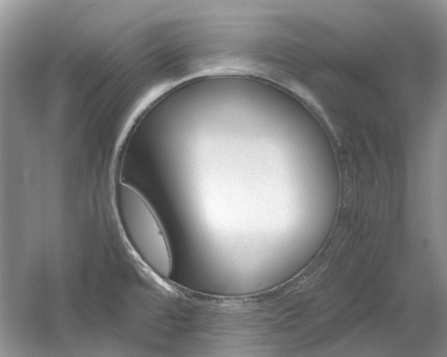 X0000061141480200511180953