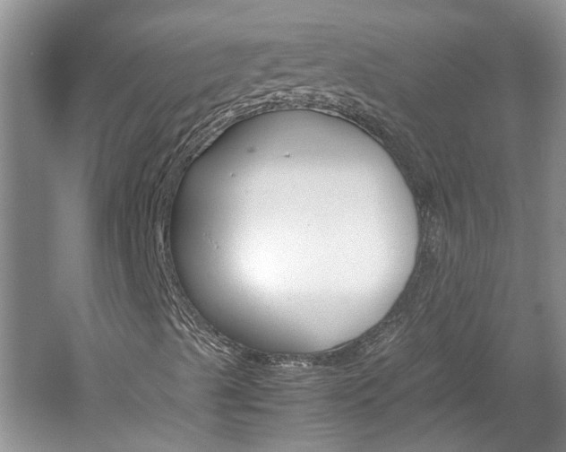 X0000061141489200511180952