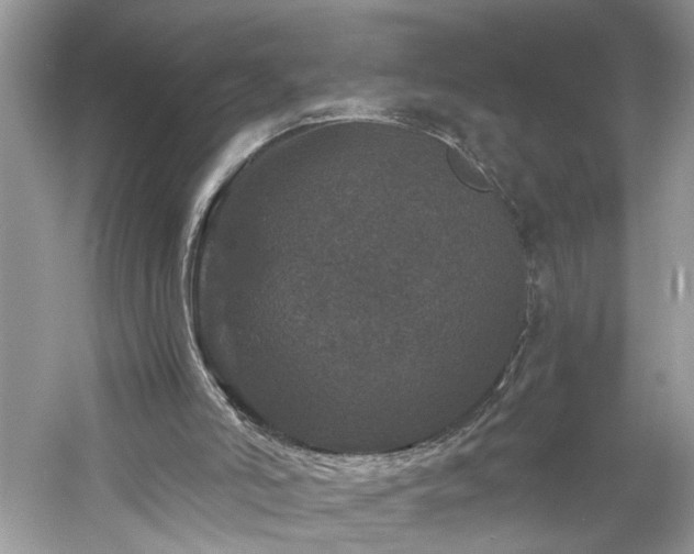 X0000061140006200511181220