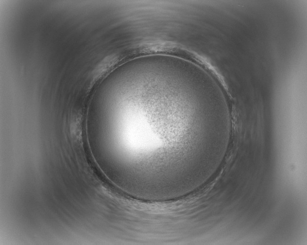 X0000061140010200511181220