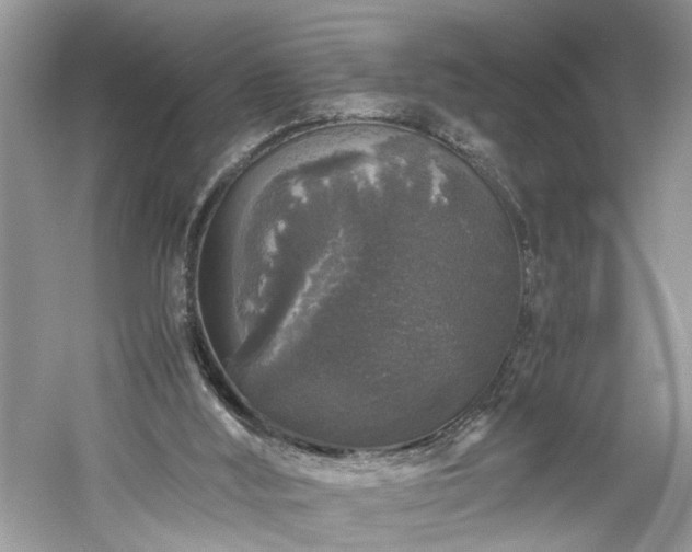 X0000061140012200511181220