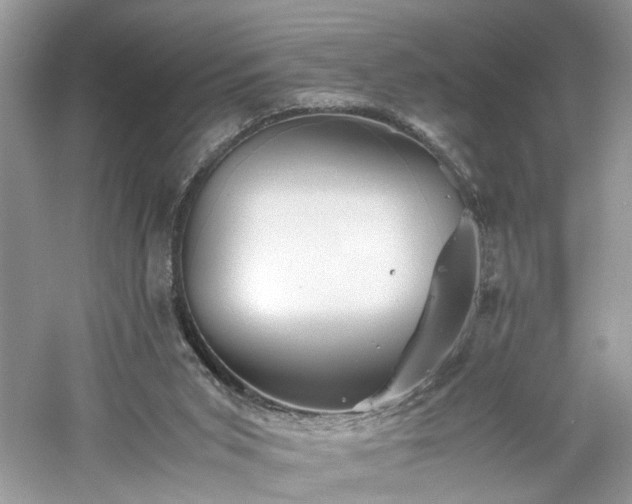 X0000061140015200511181220