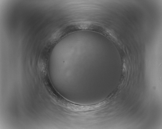 X0000061140031200511181220