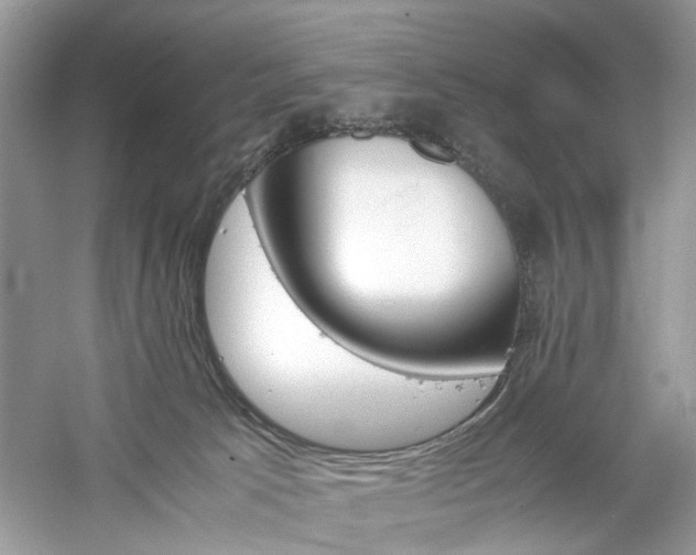 X0000061140033200511181220