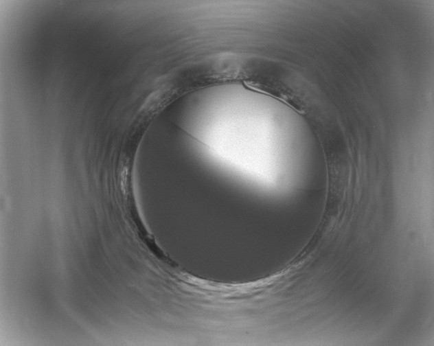 X0000061140035200511181219
