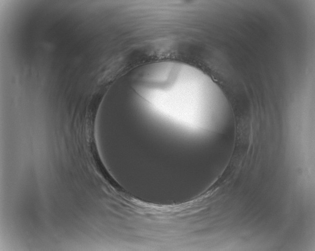 X0000061140039200511181219