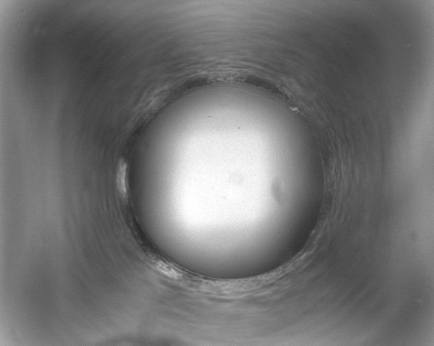 X0000061140041200511181219