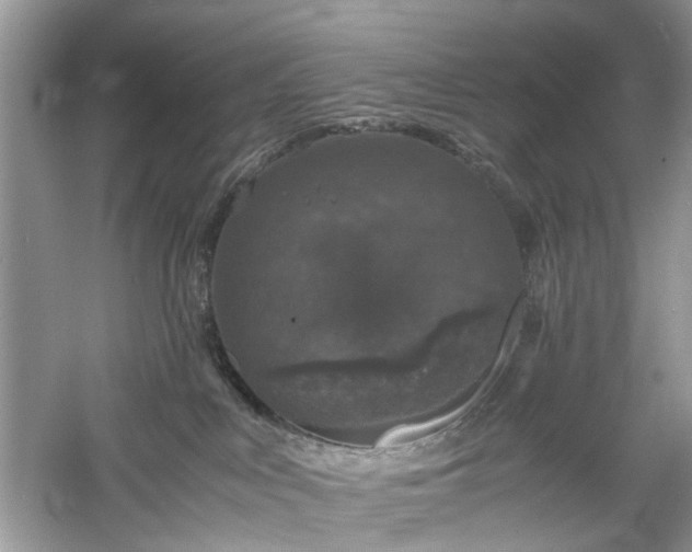 X0000061140043200511181219