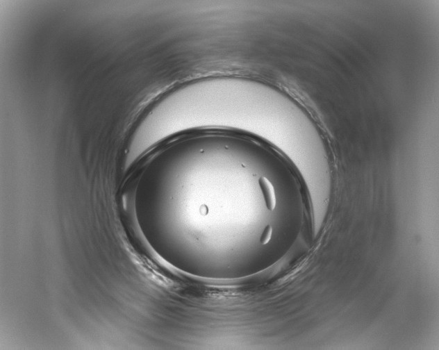 X0000061140058200511181219