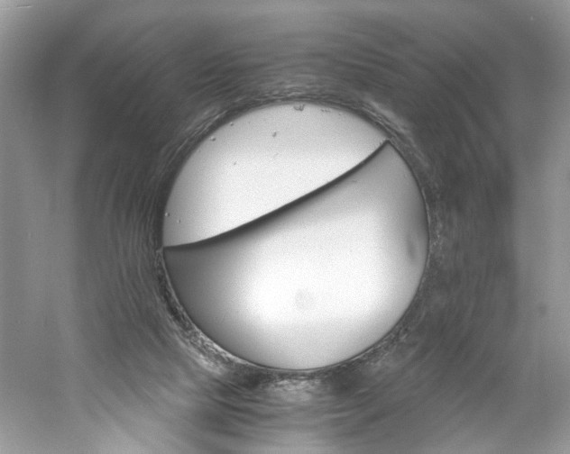 X0000061140065200511181219