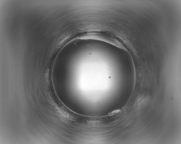 X0000061140066200511181219