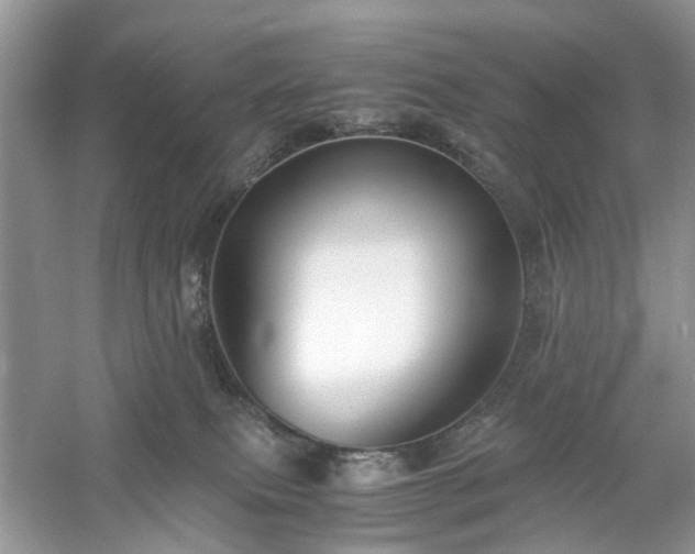 X0000061140087200511181219