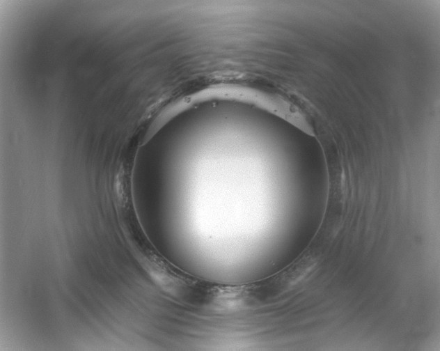X0000061140088200511181219