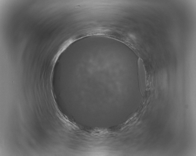 X0000061140099200511181218