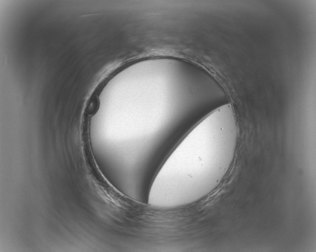 X0000061140104200511181218